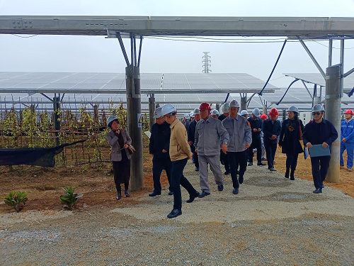 省工業(yè)和信息化廳副廳長吳東文及縱向幫扶組團(tuán)單位一行到葵潭農(nóng)場調(diào)研3.png